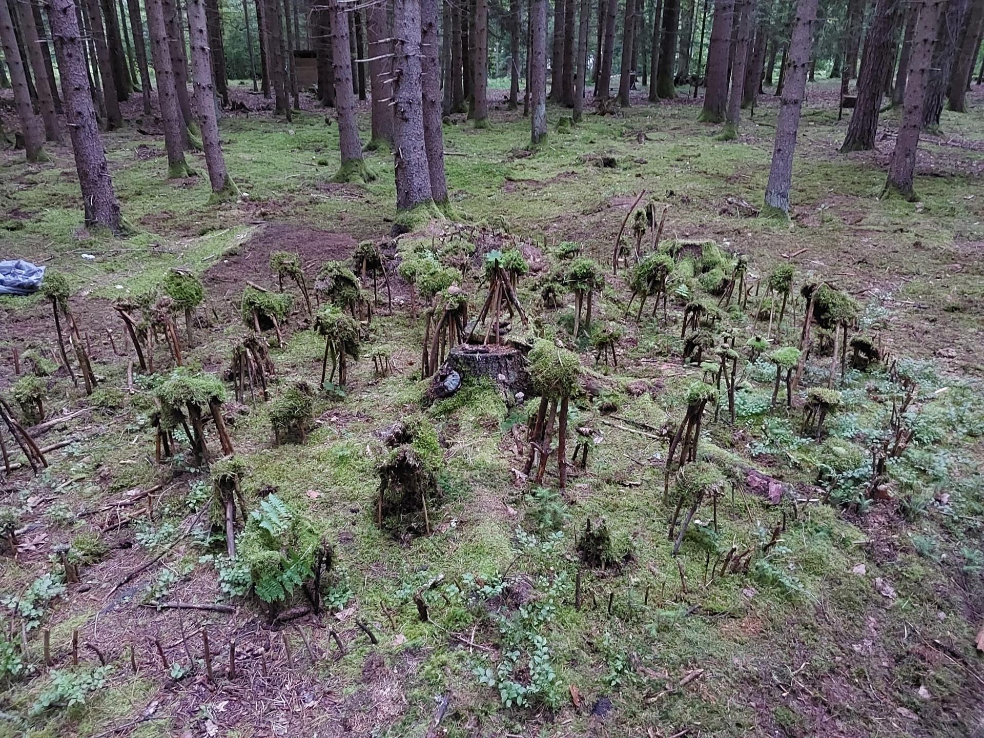 Karštejn 2025 Image 32