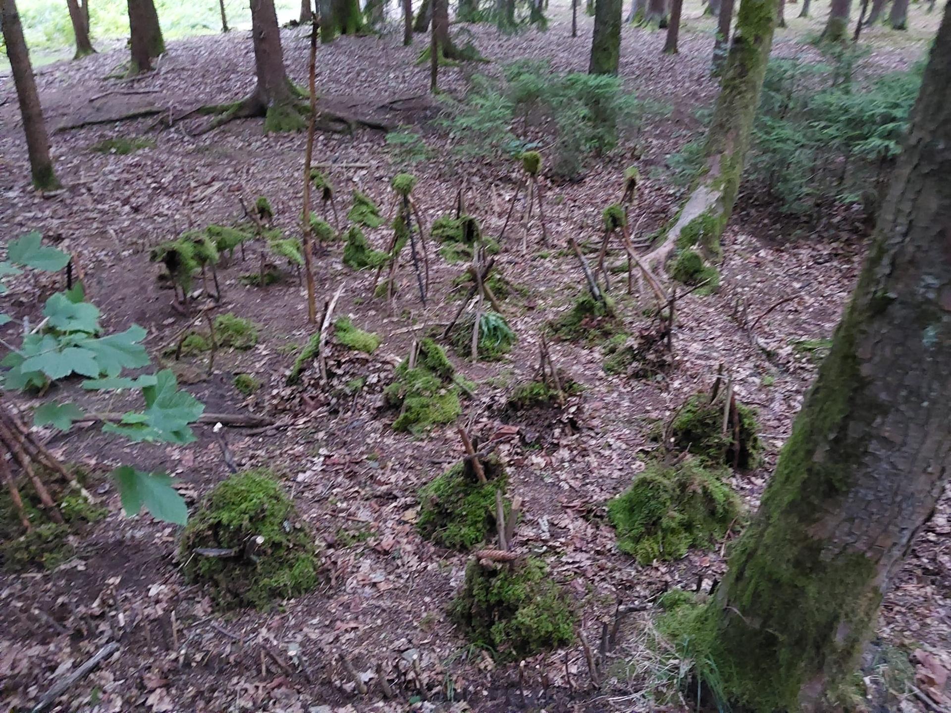 Karštejn 2025 Image 33