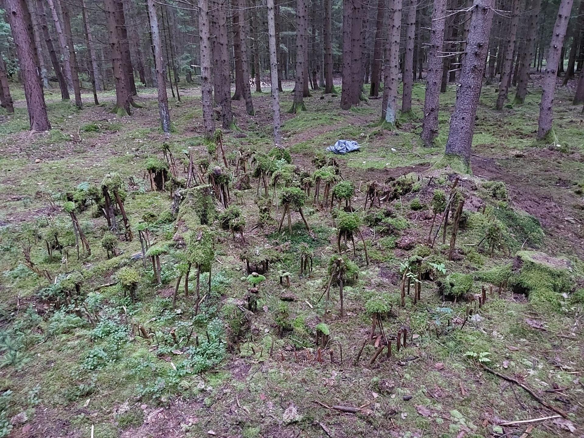 Karštejn 2025 Image 37